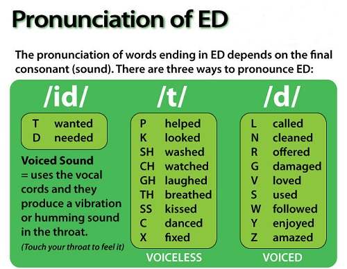 Cách đọc đuôi ED trong Tiếng Anh chính xác, dễ nhớ