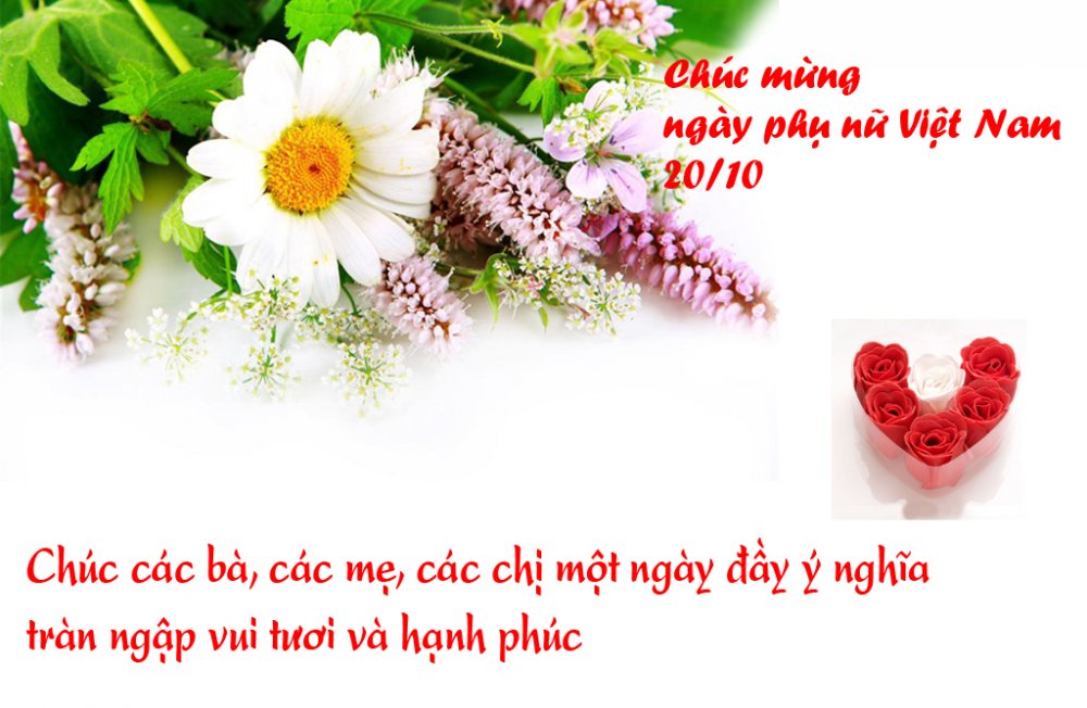 99+ Lời chúc ngày phụ nữ Việt Nam 20/10 hay và ý nghĩa nhất!