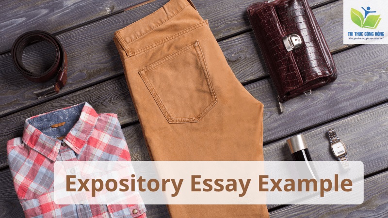 Expository Essay Example