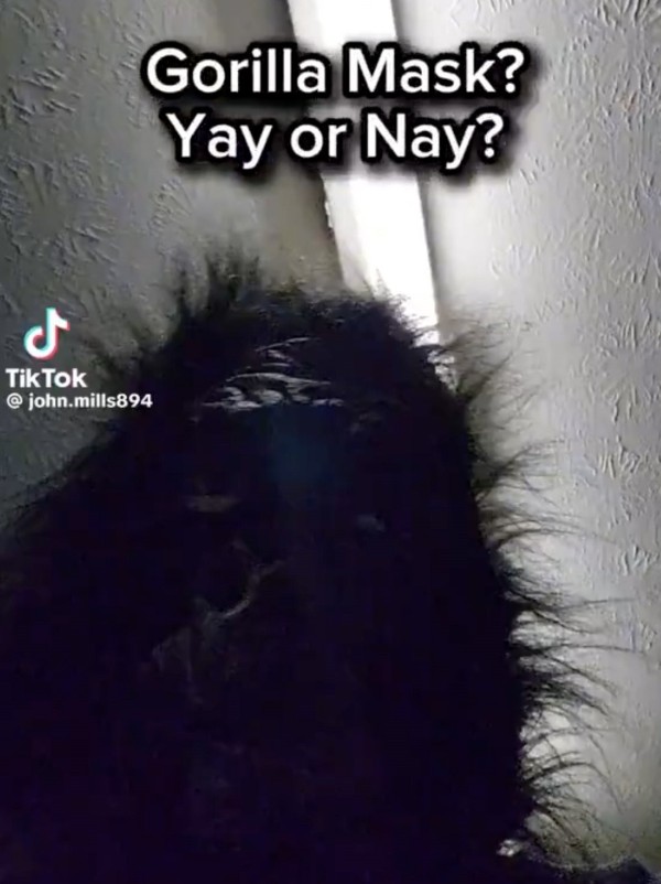 Gorilla Mask Video and Controversy in Online Culture